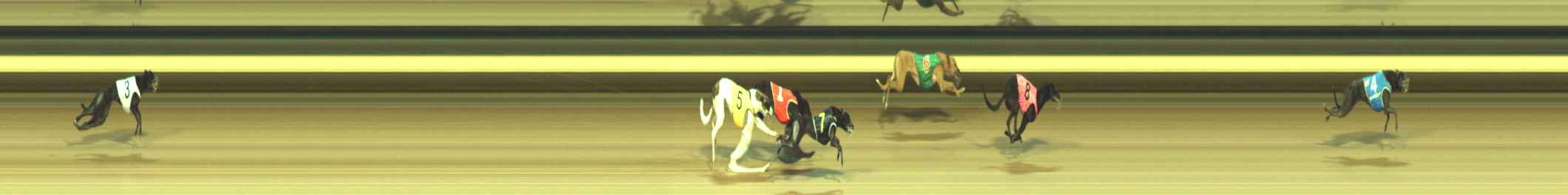 Photo finish for Warragul Race 4