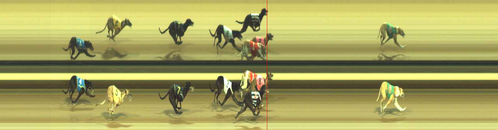 Photo finish for Warragul Race 5