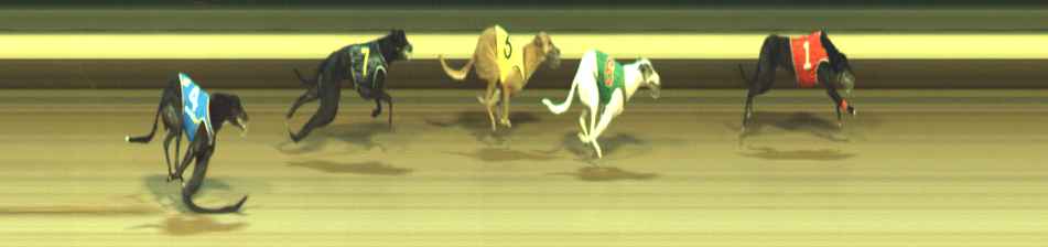 Photo finish for Warragul Race 6