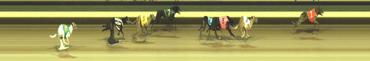 Photo finish for Warragul Race 7