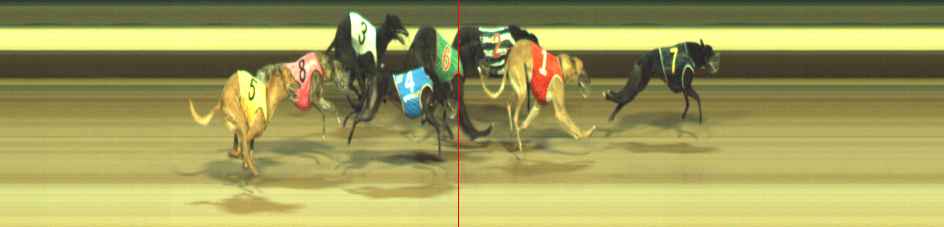 Photo finish for Warragul Race 8