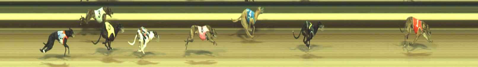 Photo finish for Warragul Race 9