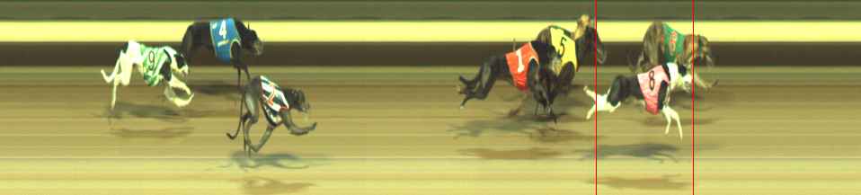 Photo finish for Warragul Race 11