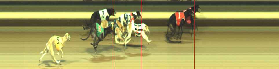 Photo finish for Warragul Race 12