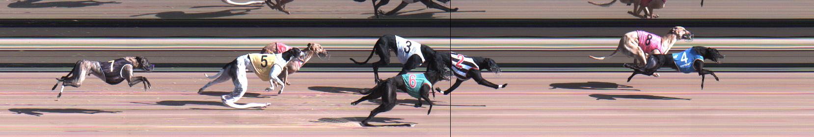 Photo finish for Warragul Race 3