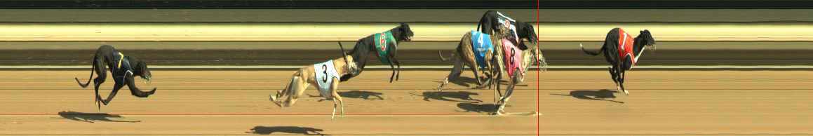 Photo finish for Warragul Race 1