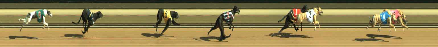 Photo finish for Warragul Race 2