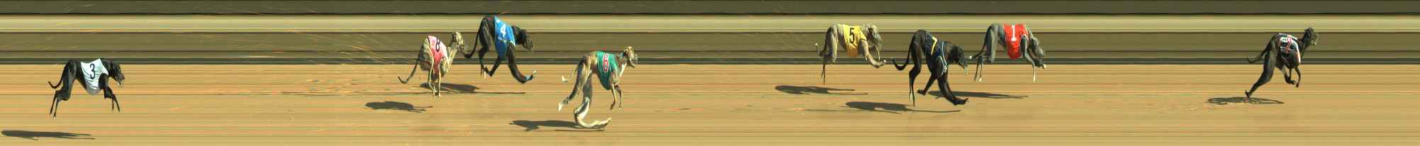 Photo finish for Warragul Race 4