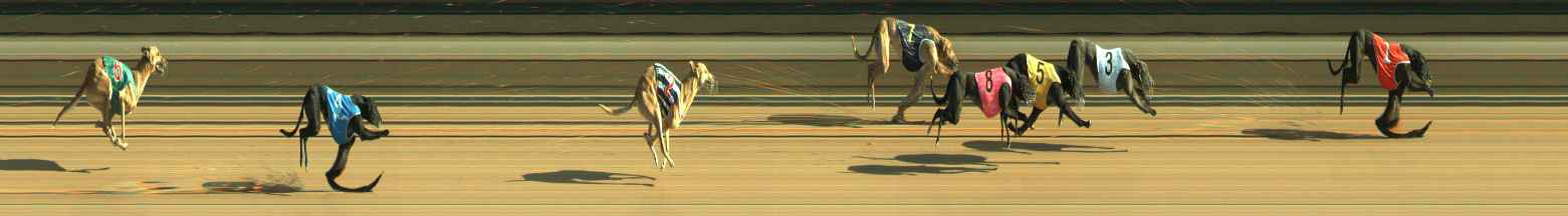 Photo finish for Warragul Race 5