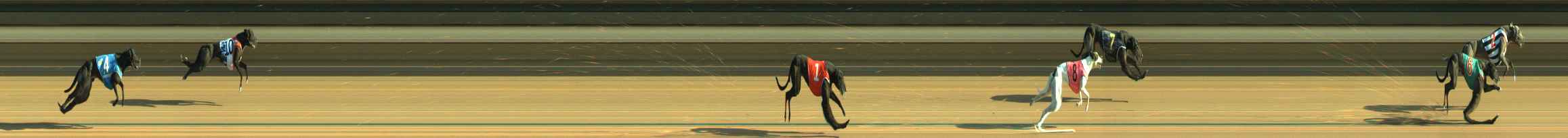 Photo finish for Warragul Race 6