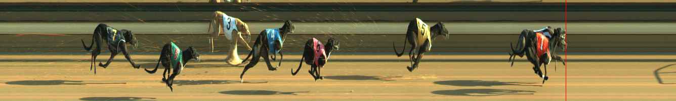 Photo finish for Warragul Race 7