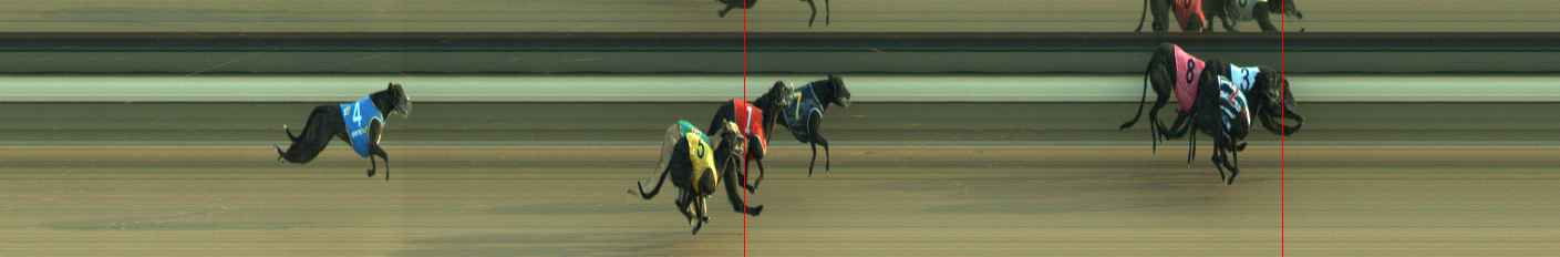Photo finish for Warragul Race 8
