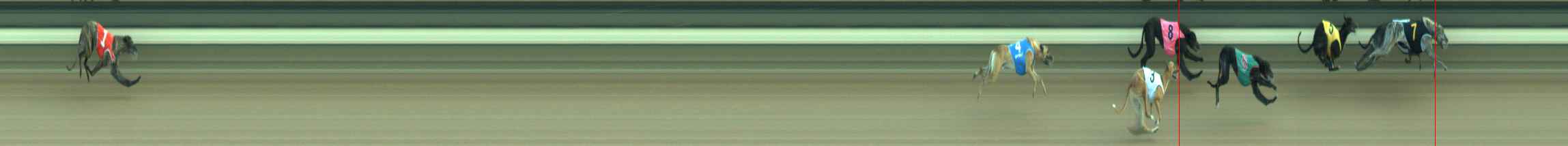 Photo finish for Warragul Race 9