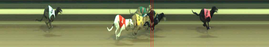 Photo finish for Warragul Race 10