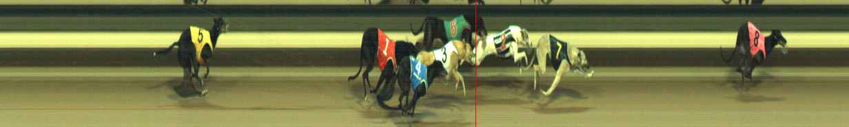 Photo finish for Warragul Race 11