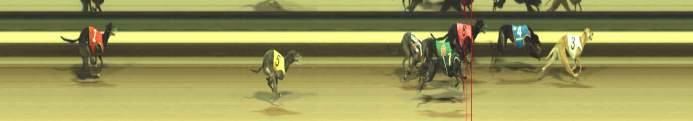 Photo finish for Warragul Race 12