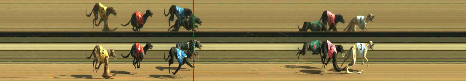 Photo finish for Warragul Race 2