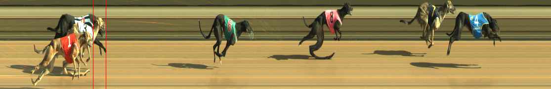 Photo finish for Warragul Race 3