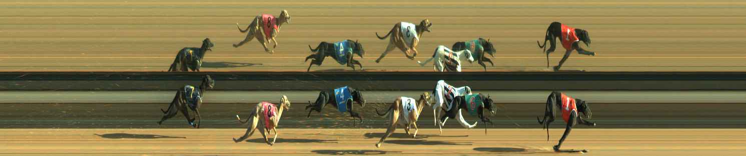 Photo finish for Warragul Race 5