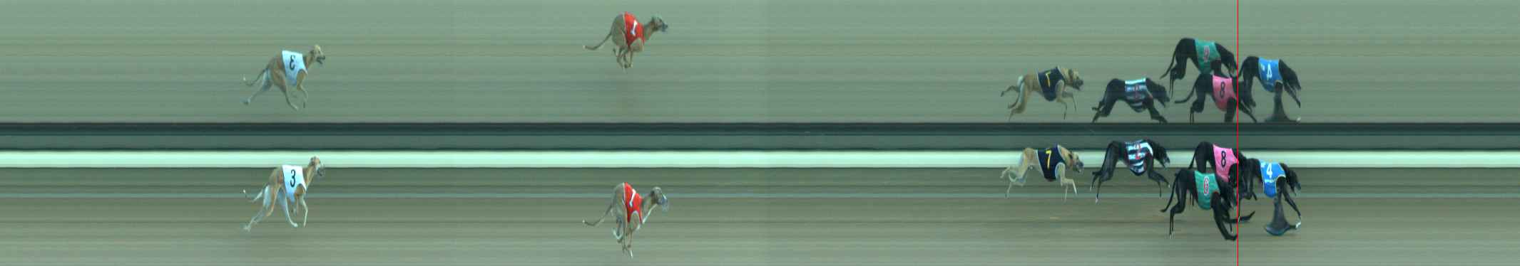 Photo finish for Warragul Race 6