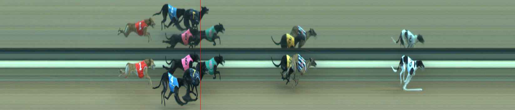Photo finish for Warragul Race 7