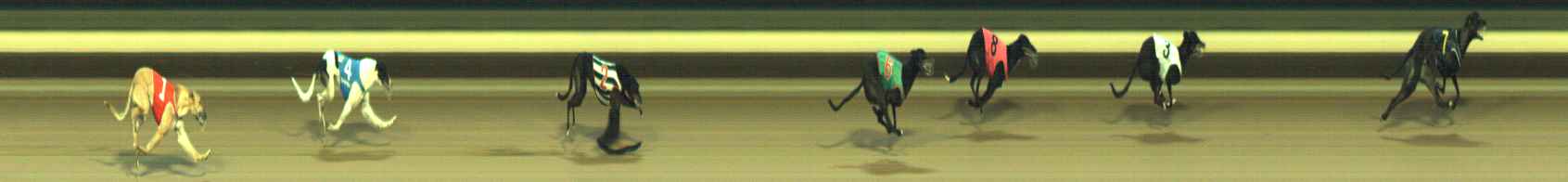 Photo finish for Warragul Race 10