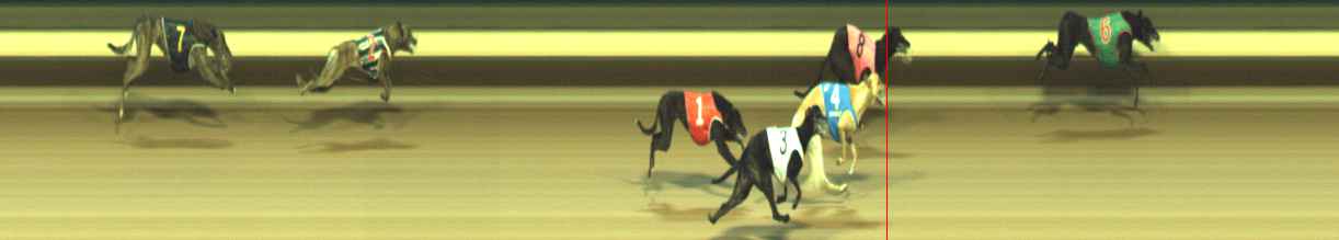 Photo finish for Warragul Race 11
