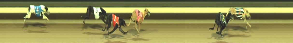 Photo finish for Warragul Race 12