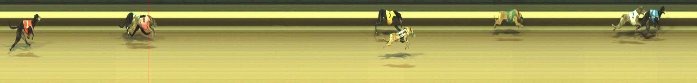 Photo finish for Warragul Race 1