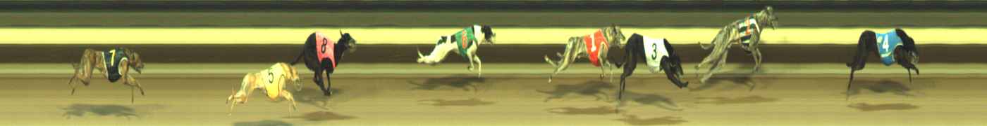 Photo finish for Warragul Race 2