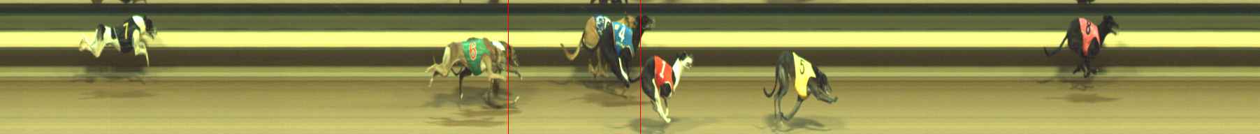 Photo finish for Warragul Race 4