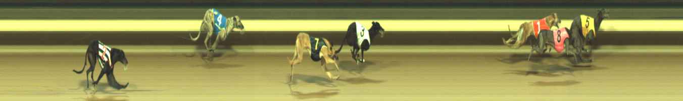 Photo finish for Warragul Race 5