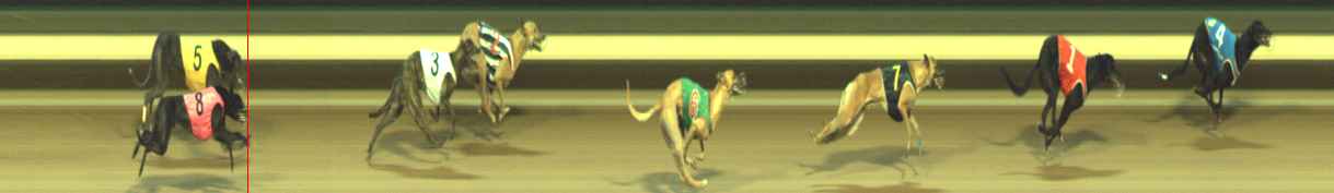 Photo finish for Warragul Race 6