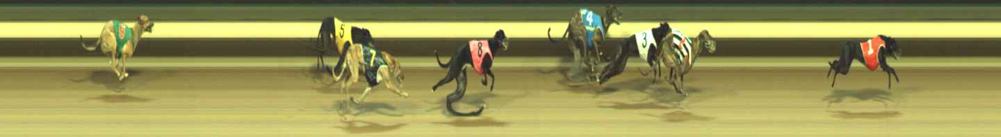 Photo finish for Warragul Race 7