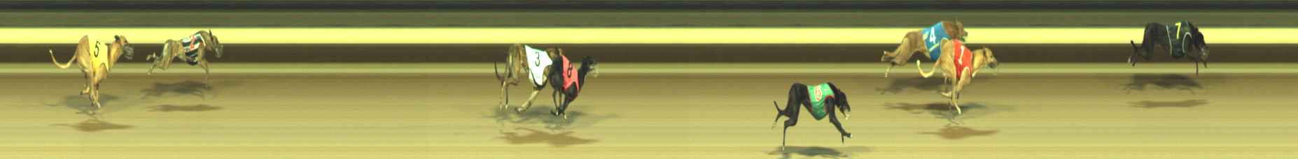 Photo finish for Warragul Race 8