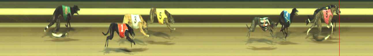 Photo finish for Warragul Race 9