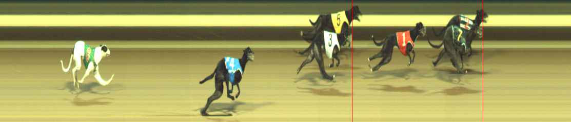 Photo finish for Warragul Race 10