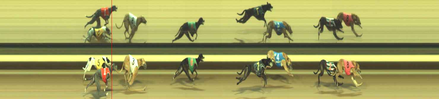 Photo finish for Warragul Race 11