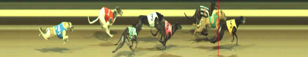 Photo finish for Warragul Race 12