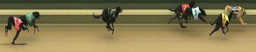 Photo finish for Warragul Race 1