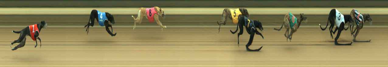 Photo finish for Warragul Race 2