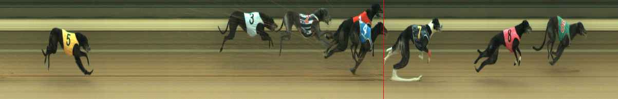 Photo finish for Warragul Race 3