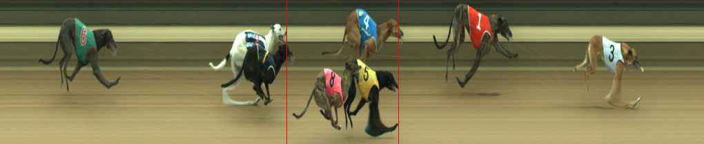 Photo finish for Warragul Race 5