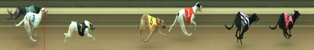 Photo finish for Warragul Race 6