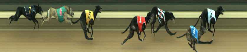 Photo finish for Warragul Race 7