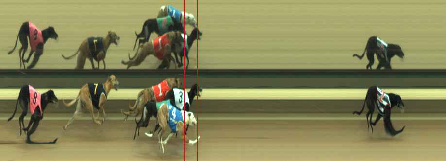 Photo finish for Warragul Race 8