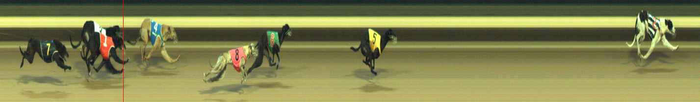 Photo finish for Warragul Race 10