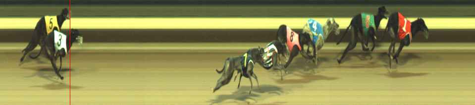 Photo finish for Warragul Race 11