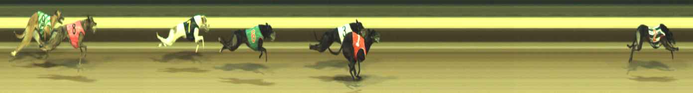 Photo finish for Warragul Race 12