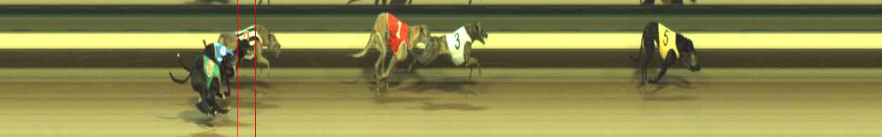 Photo finish for Warragul Race 11